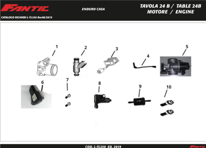 OYkM009RuI_24B - Moteur (TL250 UK - Enduro Casa - MY2018).png